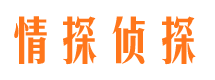 卢龙市侦探公司